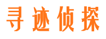 瑞安调查公司